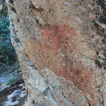 Rupestre Cidadelhe (Guarda)