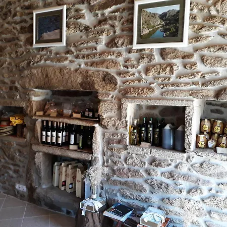 Rupestre Casa de hóspedes