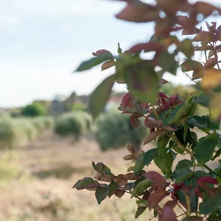 Гостевой дом Rupestre *