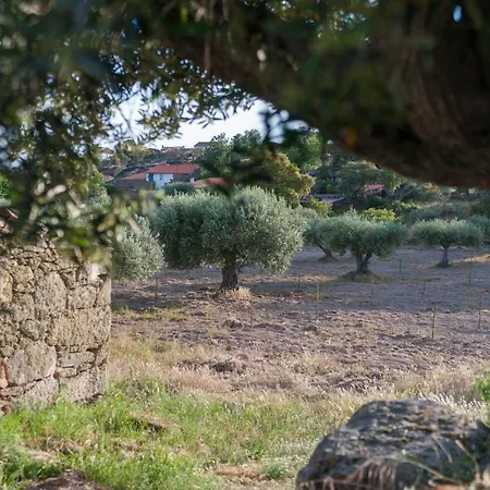 Rupestre Гостевой дом *